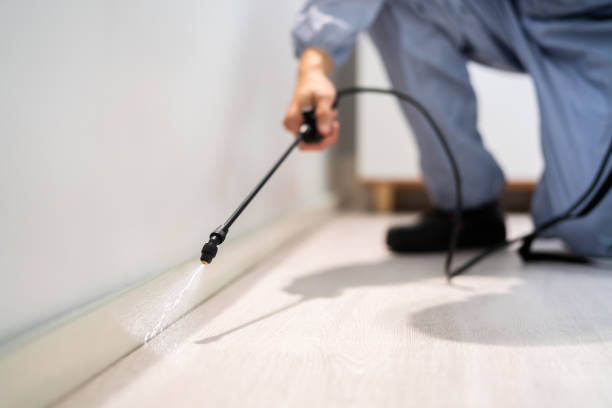 Licensed Fumigation Services service in Center Hill, FL - Nex Pest Control
